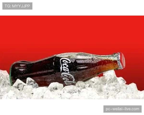 哈兰德冰箱里只放蛋白粉和冰块，连瓶可乐都找不到