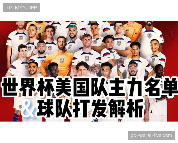世界杯美国队D组攻防能力分析
